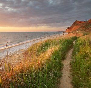 Coastal Seascape