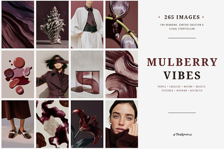 Mulberry Vibe | 265 Stock Images