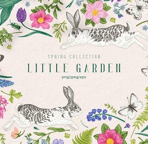 Little garden
