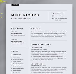 Clean Resume CV