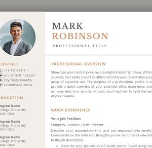 Professional CV template/ resume