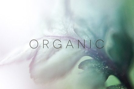 Organic | 20 Botanical Photos